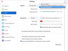 Tavandan gelen ses nasıl engellenir? Zoom Ses Sorunlarini Cozmek Icin Eksiksiz Bir Kilavuz En Tatli Ev