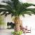 Church Sanctuary Palm Sunday Decoration