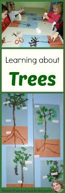 This account has been suspended. 580 Tree Study Ideas Tree Study Autumn Activities Creative Curriculum
