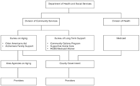 State Long Term Care Reform Development Of Community Care