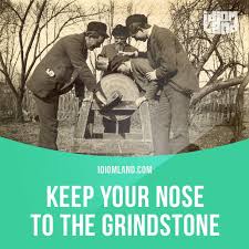 Idiom Of The Day Keep Your Nose To The Grindstone Meaning To Work Hard And Constantly Example I Ve Only Got Six Weeks Idioms English Idioms English Fun
