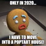 Meme costume costume makeup diy costumes animal costumes costume ideas pirate costumes costume halloween halloween shrek do you know the muffin man lord farquaad fire breathing dragon eddie murphy make believe movie collection gingerbread man felt crafts. Gingerbread Man Meme Generator Imgflip