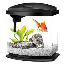 Fish Tank Ideas Fish Tank For Sales Fishtank Fishtanks Aquarium Kit Fish Tank For Sale Goldfish Tank