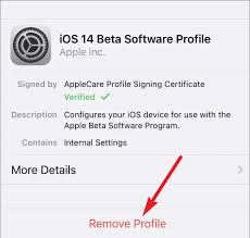 How To Fix Ios 14 Stuck On Resume Download Issue In 5 Ways