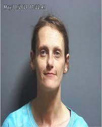 Greene County Jail Log