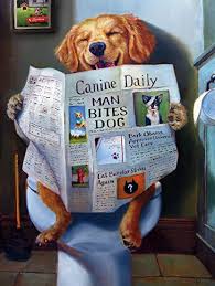 A superb jigsaw at the £15.99 i paid,a very reasonable price, i've seen the exact same jigsaw for up to 5 times as much, the quality of this jigsaw is absolutely superb, my. Amazon Com Buffalo Games Dog Gone Funny 750 Piece Jigsaw Puzzle Multicolor 24 L X 18 W Toys Games