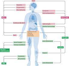 Systemic And Organ Specific Immune Related Manifestations Of Covid 19 Nature Reviews Rheumatology