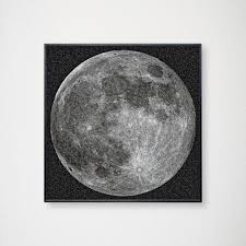 Chris jordan on wn network delivers the latest videos and editable pages for news & events, including entertainment, music, sports, science and more, sign up and share your playlists. Over The Moon By Chris Jordan Rossana Orlandi