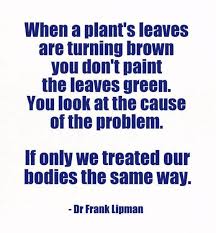 Lipman Ifonly Jpg 640 693 Natural Medicine Quotes Medicine Quotes Naturopathic Medicine Quotes