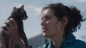 PRESS RELEASE: Oklahoma City Animal Welfare hosts Dogtober Festival Oct. 19  at Earlywine Park