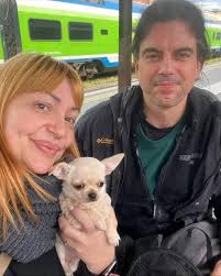 Chihuahua puppies for adoption