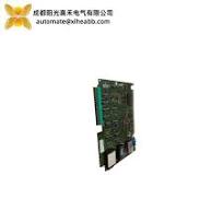 通用电气IC600YB842 模拟输入模块- www.sissystem.com