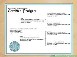 3 Ways To Read A Dogs Pedigree Wikihow