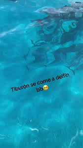 davidluna5567 (@davidluna5567)’s videos with La Isla Bonita