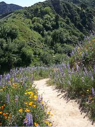 Companies and organizations catalog in santa clarita, california. Santa Clarita Recreation Santa Clarita Trails More California Hikes Beautiful Sites Visit Santa