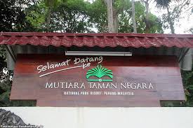 Providing you with transfers to and from the airport to your hotel as well as presenting you with an array of accommodation options, the taman negara overland package is a tour deal that's perfect for those looking to explore malaysia's illustrious jungle. Das Mutiara Taman Negara Resort