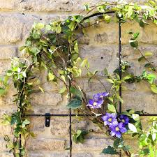 Check spelling or type a new query. Round Top Trellis Panels Harrod Horticultural