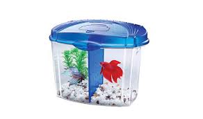 Everything you need to know about betta fish and betta fish care, including aquarium setup, feeding, breeding, treating betta illness and more. Mini Tanks For Betta Fish Are Harmful Class Action Lawsuits Allege Oregonlive Com