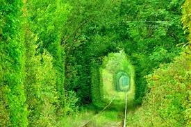 Romania este o tara plina de istorie bine conservata. Vgfdfvbn Most Romantic Places Tunnel Of Love Romantic Places