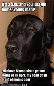 Consider Yourself Warned Funny Animal Pictures Funny Animals Funny Dogs