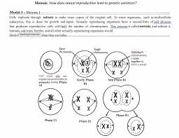 Male reproductive structures and their function Solved Meiosis How Does Sexual Reproduction Lead To Gene Chegg Com