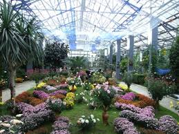 Inițiativa a fost aprobată și de domnitorul alexandru ioan cuza. GrÄƒdina BotanicÄƒ