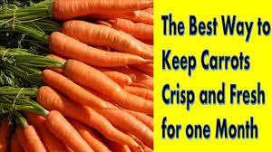 Do Carrots Go Bad How Long Does It Last
