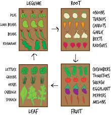 the importance of crop rotation gill landscape nursery