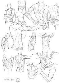 pin on anatomy reference figure drawing