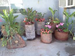 Recycling Tree Stumps Is One Way To Keep Them Out Of Landfills And Beautify Your Yard Tree Stump Tree Stump Planter Tree Trunk Wallpaper