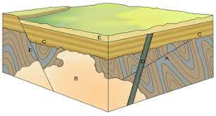 How to use absolute in a sentence. Relative Dating Wikipedia