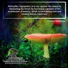 Pin On Magic Mushrooms Shrooms Direct