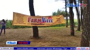 Kota ini selalu menarik minat wisatawan baik domestik maupun internasional dengan wisata kuliner, wisata belanja dan. Pesona Hutan Pinus Farm Ville Cirendeu Estate Elbait Tv