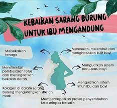 Sarang burung walet bisa dikonsumsi loh. Ain Shop My 1 Ibu Mengandung Boleh Consume Air Sarang Facebook