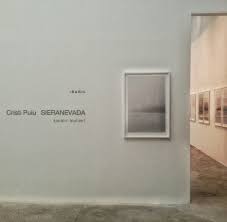 This weekend we will meet you in brezoi, at the. Regizorul Cristi Puiu Despre Prima Lui ExpoziÈ›ie De Fotografie Este Ceea Ce N Am Putut Pune In Film Propria Mea TristeÈ›e Ana Maria Onisei