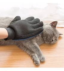 Tuy Toplayan Kedi Temizleme Eldiveni Kedi Tuy Toplama Eldiveni