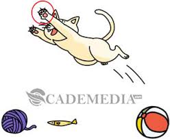 Kamu akan menemukan siapa yang berubah jadi serigala Kunci Jawaban Brain Find Level 111 112 113 114 115 116 117 118 119 120 Cademedia