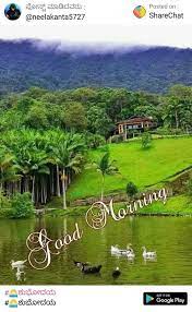Good Morning Nature. added a new photo. - Good Morning Nature.