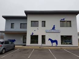 Clinique Vétérinaire De Ruffieu
