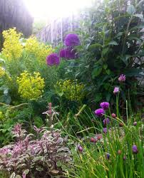 19th Century Modern Squared Brick Garden Garden Design Modern Square