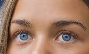 Blue Eyes Blue Eyes Eyes Blue