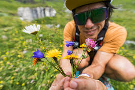 Trailing the Swiss Alps