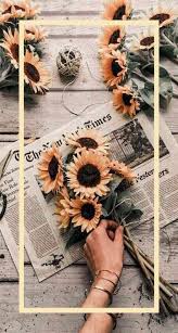 Check spelling or type a new query. 39 Ideas For Iphone Wallpaper Tumblr Aesthetic Sunflowers Iphone Wallpaper Vintage Quotes Iphone Wallpaper Vintage Samsung Wallpaper