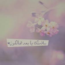 pin on صور رومانسية