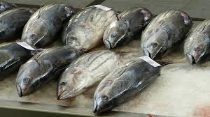 80 jenis ikan hias laut paling populer, paling cantik, paling indah & paling lengkap di dunia. Jenis Jenis Ikan Laut Yang Populer Untuk Dikonsumsi Kepogaul