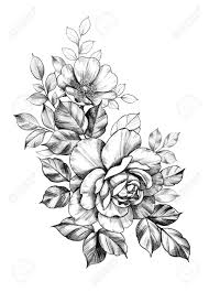 Learn how to draw a dog in a few minutes watch our fun and step by step tutorials to learn how to sketch a dog. Hand Drawn Bunch With Big Rose And Dog Rose Flowers Isolated Stock Photo Picture And Royalty Free Image Image 126430781
