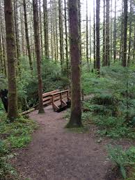 Maybe you would like to learn more about one of these? Why The Mclane Creek Nature Trail Offers More Than Just Nice Hiking Pacific Northwest Pathfinders