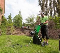 Meistens hat man in gärten mit einem befall zu tun, wie ich ihn hier oben in kapitel 3 beschrieben habe. Borkenkafer Loswerden Hier Lesen Wie S Geht