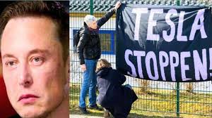 Tearful Elon Musk unhappy and begs 'respect'