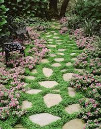 Ground Cover For Garden Pathways Ground Cover Plants Beautiful Gardens Garden Inspiration